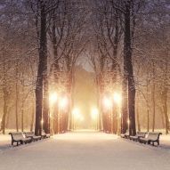 Фотообои зимняя аллея