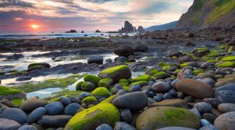 Фотообои Камни на берегу моря