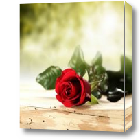 Картина Алая роза