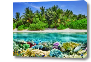 Картина Море, подводный мир, пляж с пальмами