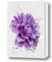 Картина фиолетовый пион с каплями краски